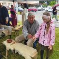IMG_20230616_113430