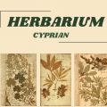 herbarium