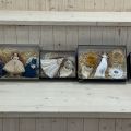 IMG_9558