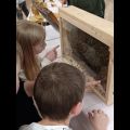 IMG_20260518_113559