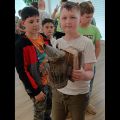 IMG_20260518_113943