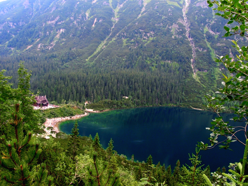 mor oko